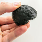 Combined brain halves, 3D printed without support structures