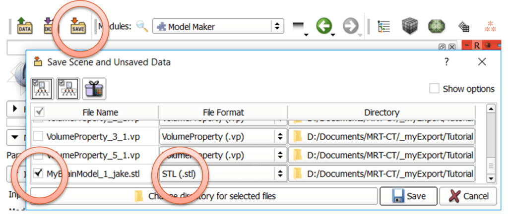 Slicer: export 3D model of the brain as .stl