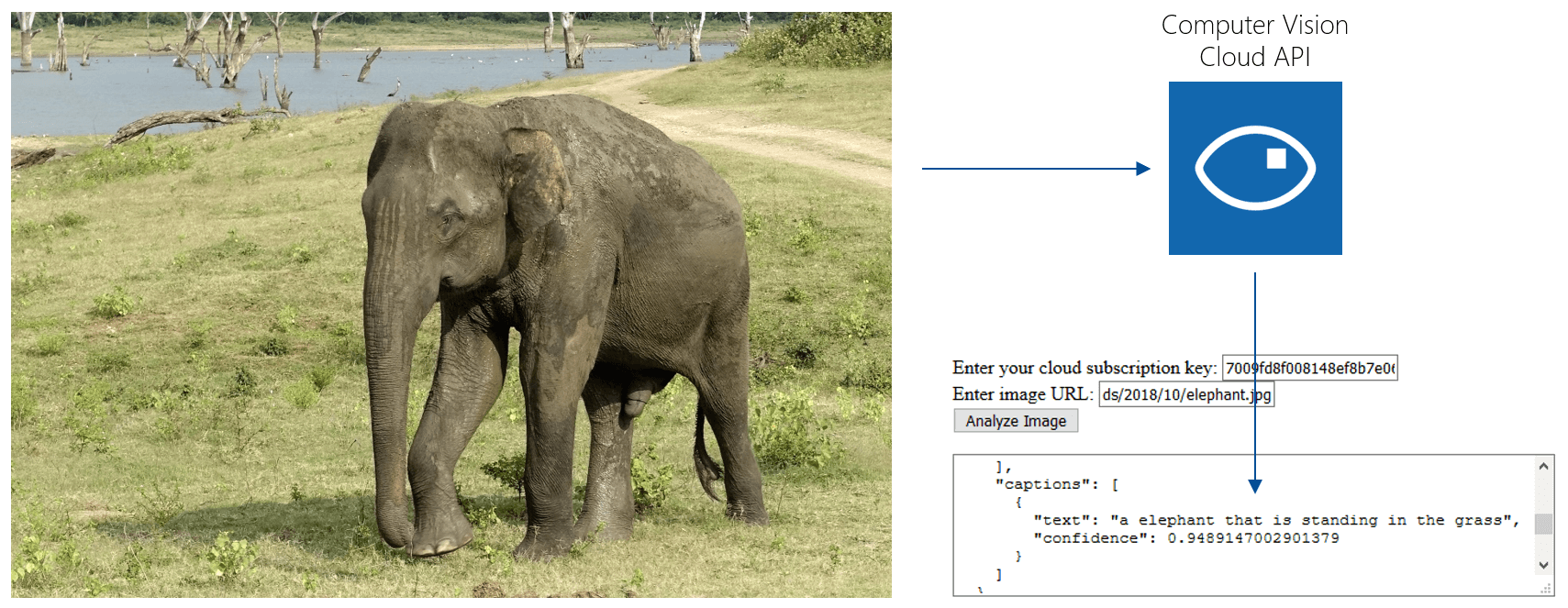 Example overview: specify an image URL and your API key, get a complete image description from an Artificial Intelligence service.